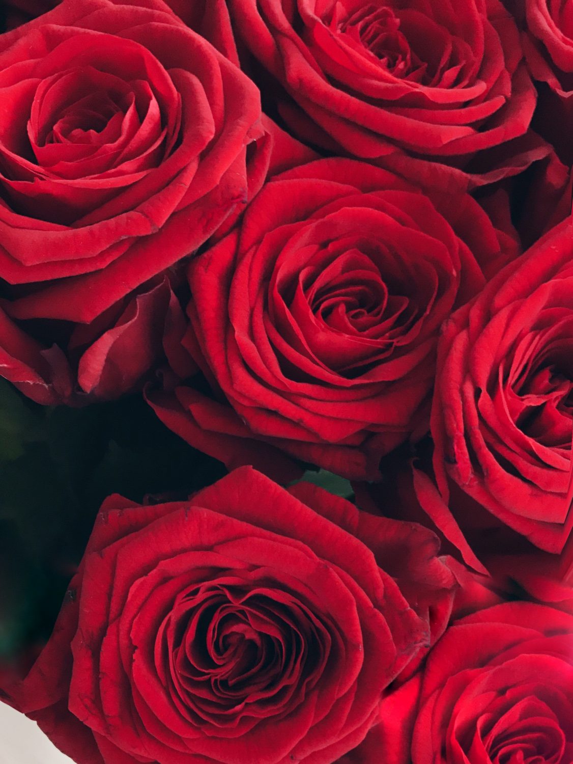 5 Dia das mães - Bouquet de rosas vermelhas - Kezia Happuck